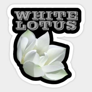 white Sticker